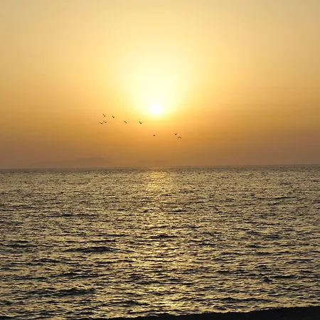 Hotel Heleni Ialysos (Rhodes)